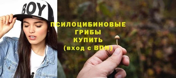 винт Лагань