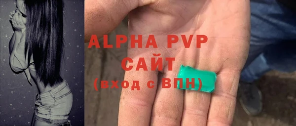 винт Лагань