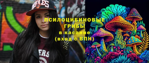 соль курить ск Ладушкин