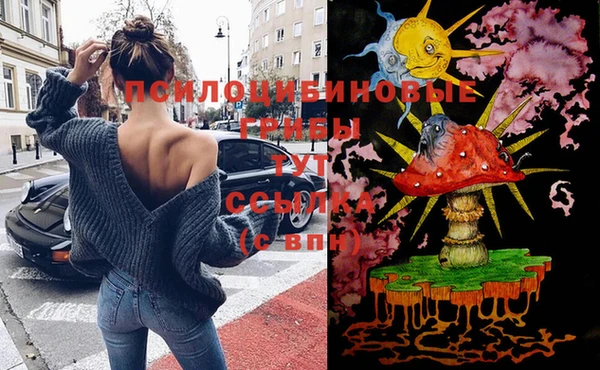 PSILOCYBIN Лабытнанги