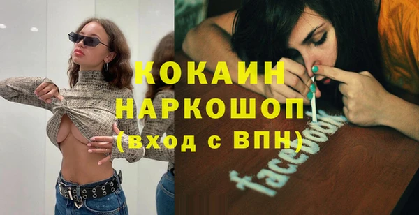 винт Лагань