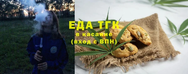 винт Лагань