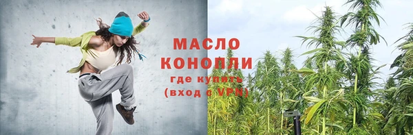 винт Лагань
