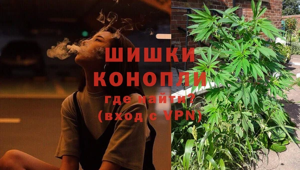 PSILOCYBIN Лабытнанги