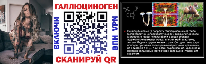 хочу наркоту  Лихославль  Галлюциногенные грибы мицелий 
